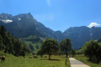 2015-07-01_1Pano-bei-Lacke (103).JPG